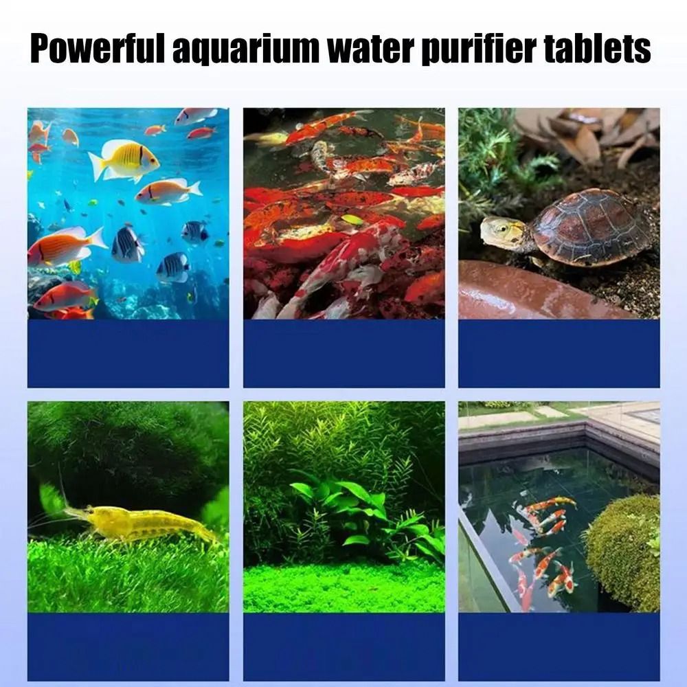 Water Purification Tablet - أقراص تنقية المياه القوية، مزيل الروائح،